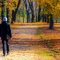 How Fall Nature Walks Can Help With Anxiety?